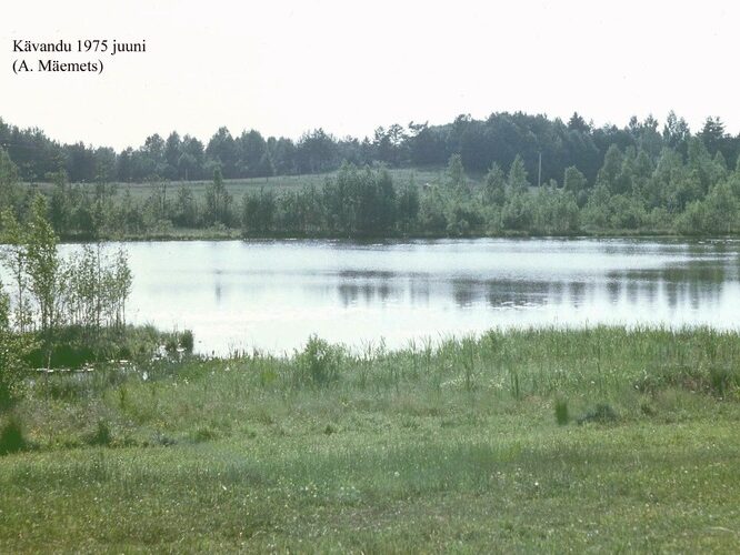 Maakond: Valgamaa Veekogu nimi: Kavandi Suurjärv Pildistamise aeg: juuni 1975 Pildistaja: A. Mäemets Pildistamise koht: teadmata Asimuut: