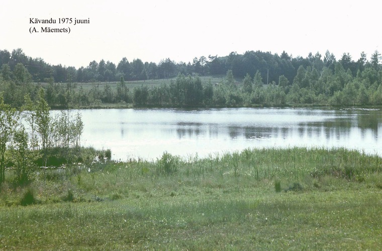 Maakond: Valgamaa Veekogu nimi: Kavandi Suurjärv Pildistamise aeg: juuni 1975 Pildistaja: A. Mäemets Pildistamise koht: teadmata Asimuut: