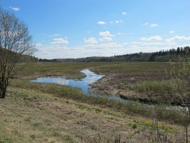 Maakond: Tartumaa Veekogu nimi: Kavilda jõgi Pildistamise aeg: 5. mai 2011 Pildistaja: H. Timm Pildistamise koht: Kentsi paisjärv Asimuut: