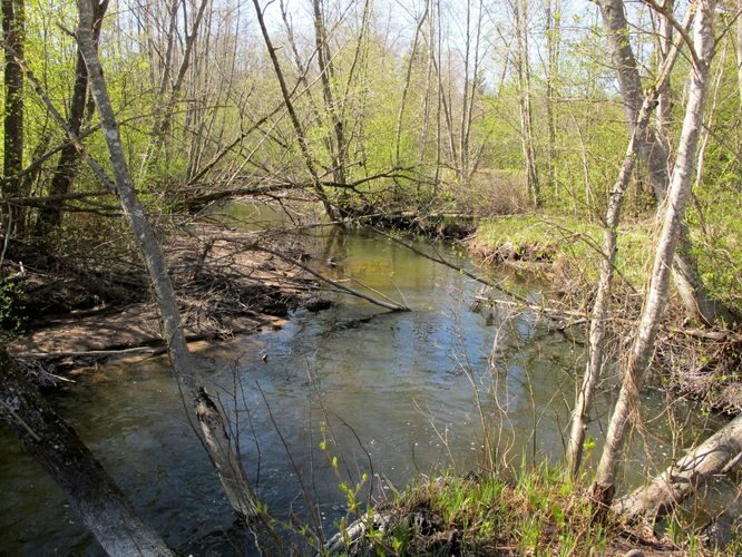 Maakond: Tartumaa Veekogu nimi: Kavilda jõgi Pildistamise aeg: 5. mai 2011 Pildistaja: H. Timm Pildistamise koht: Kavilda Asimuut: