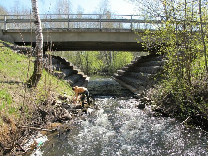 Maakond: Tartumaa Veekogu nimi: Kavilda jõgi Pildistamise aeg: 5. mai 2011 Pildistaja: H. Timm Pildistamise koht: Kavilda Asimuut: