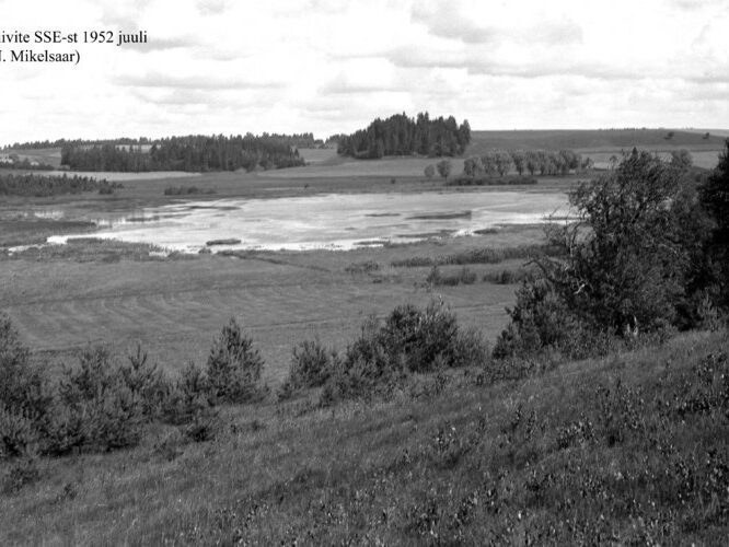 Maakond: Valgamaa Veekogu nimi: Kiivite järv Pildistamise aeg: juuli 1952 Pildistaja: N. Mikelsaar Pildistamise koht: SSE kaldalt eemalt Asimuut: N