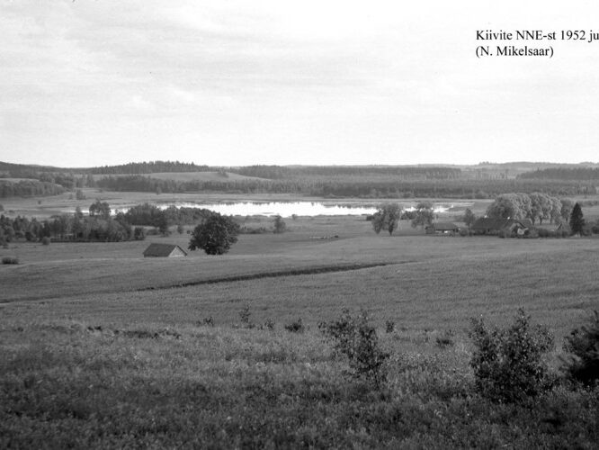 Maakond: Valgamaa Veekogu nimi: Kiivite järv Pildistamise aeg: juuli 1952 Pildistaja: N. Mikelsaar Pildistamise koht: NNE kaldalt eemalt Asimuut: SSW