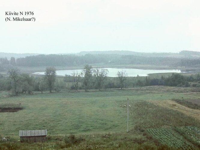 Maakond: Valgamaa Veekogu nimi: Kiivite järv Pildistamise aeg: 1976 Pildistaja: N. Mikelsaar Pildistamise koht: N kaldalt talu juurest Asimuut: S