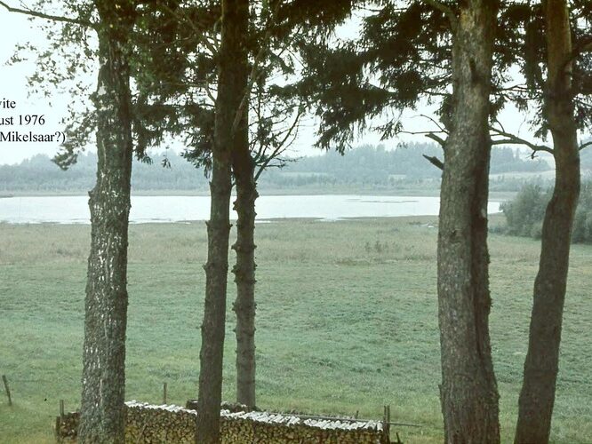 Maakond: Valgamaa Veekogu nimi: Kiivite järv Pildistamise aeg: 1976 Pildistaja: N. Mikelsaar Pildistamise koht: SE kaldalt talu juurest Asimuut: NW