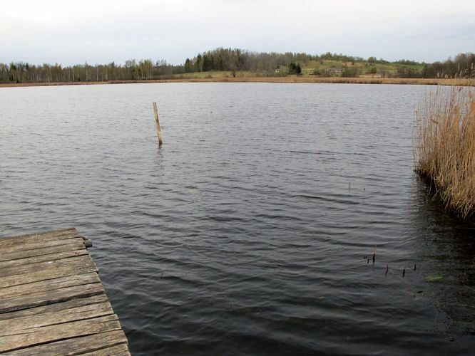 Maakond: Valgamaa Veekogu nimi: Kiiviti järv Pildistamise aeg: 29. aprill 2012 Pildistaja: H. Timm Pildistamise koht: teadmata Asimuut: