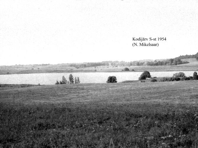 Maakond: Valgamaa Veekogu nimi: Kodijärv Pildistamise aeg: 1954 Pildistaja: N. Mikelsaar Pildistamise koht: S kaldalt Asimuut: