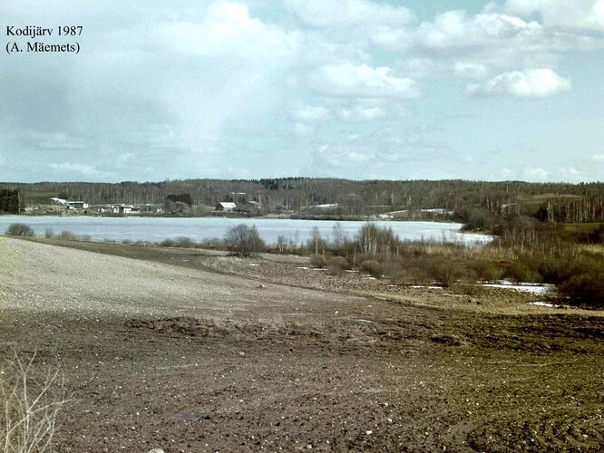 Maakond: Valgamaa Veekogu nimi: Kodijärv Pildistamise aeg: 1987 Pildistaja: A. Mäemets Pildistamise koht: teadmata Asimuut: