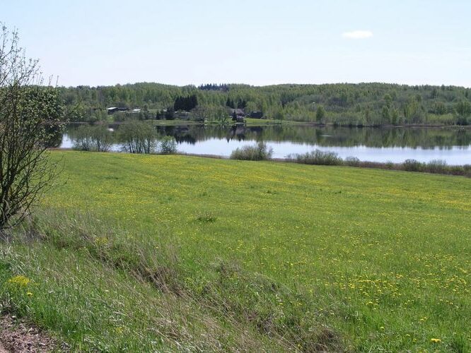 Maakond: Valgamaa Veekogu nimi: Kodijärv Pildistamise aeg: 17. mai 2007 Pildistaja: H. Timm Pildistamise koht: teadmata Asimuut: