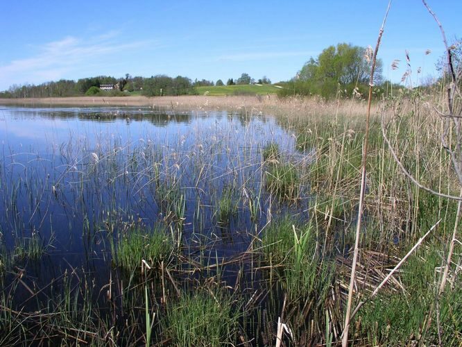 Maakond: Valgamaa Veekogu nimi: Kodijärv Pildistamise aeg: 17. mai 2007 Pildistaja: H. Timm Pildistamise koht: teadmata Asimuut: