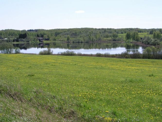 Maakond: Valgamaa Veekogu nimi: Kodijärv Pildistamise aeg: 17. mai 2007 Pildistaja: H. Timm Pildistamise koht: teadmata Asimuut: