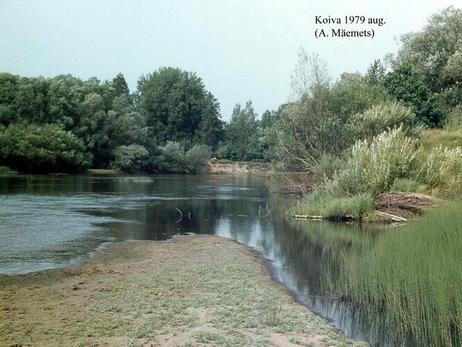 Maakond: Valgamaa Veekogu nimi: Koiva jõgi Pildistamise aeg: august 1979 Pildistaja: A. Mäemets Pildistamise koht: teadmata Asimuut: