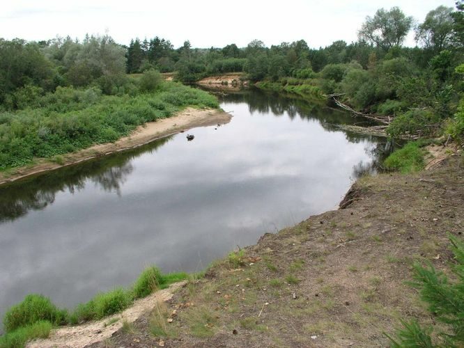 Maakond: Valgamaa Veekogu nimi: Koiva jõgi Pildistamise aeg: august 2004 Pildistaja: H. Timm Pildistamise koht: Kõrgeperve Asimuut: