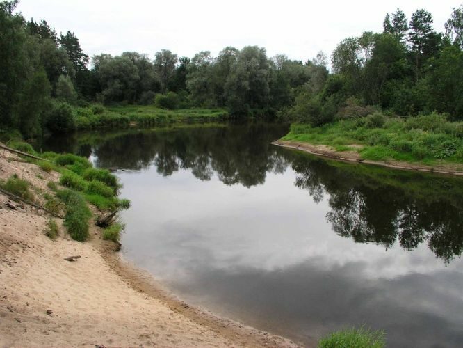 Maakond: Valgamaa Veekogu nimi: Koiva jõgi Pildistamise aeg: august 2004 Pildistaja: H. Timm Pildistamise koht: Kõrgeperve Asimuut: