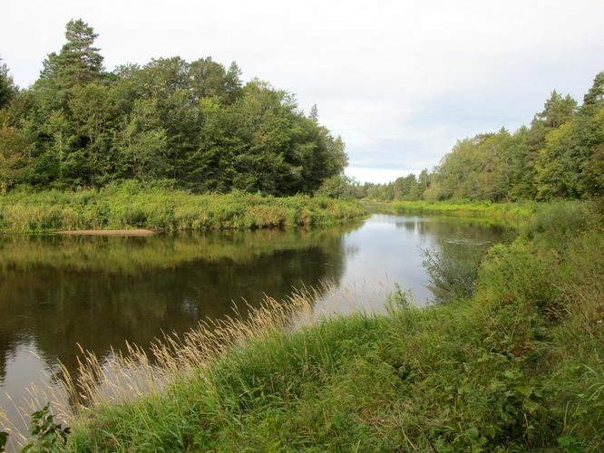 Maakond: Valgamaa Veekogu nimi: Koiva jõgi Pildistamise aeg: 10. september 2012 Pildistaja: H. Timm Pildistamise koht: Vaitka Asimuut: