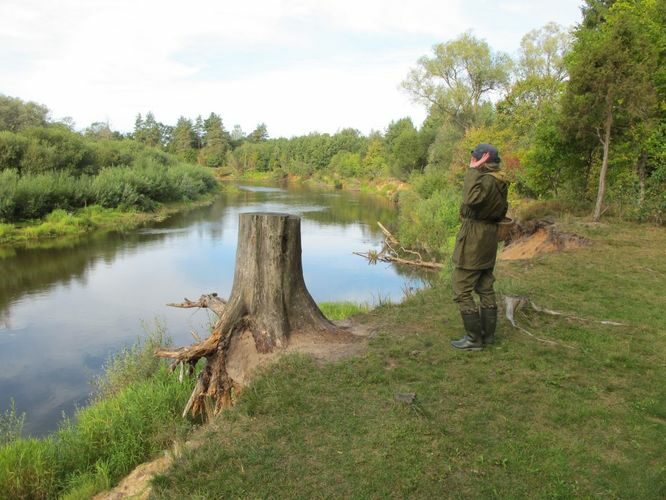 Maakond: Valgamaa Veekogu nimi: Koiva jõgi Pildistamise aeg: 10. september 2012 Pildistaja: H. Timm Pildistamise koht: Kõrgeperve Asimuut: