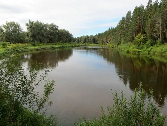 Maakond: Valgamaa Veekogu nimi: Koiva jõgi Pildistamise aeg: 10. september 2012 Pildistaja: H. Timm Pildistamise koht: Vaitka Asimuut: