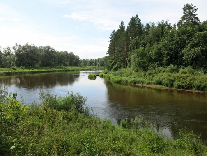 Maakond: Valgamaa Veekogu nimi: Koiva jõgi Pildistamise aeg: 15. august 2014 Pildistaja: H. Timm Pildistamise koht: Vaitka Asimuut: