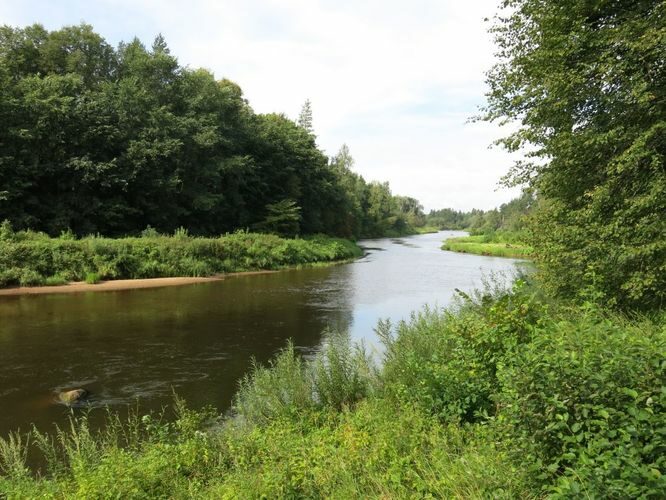 Maakond: Valgamaa Veekogu nimi: Koiva jõgi Pildistamise aeg: 15. august 2014 Pildistaja: H. Timm Pildistamise koht: Vaitka Asimuut: