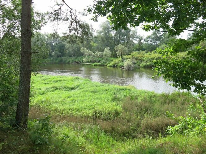 Maakond: Valgamaa Veekogu nimi: Koiva jõgi Pildistamise aeg: 15. august 2014 Pildistaja: H. Timm Pildistamise koht: Piirikõrdsi soodist Saapasuudi poole Asimuut: