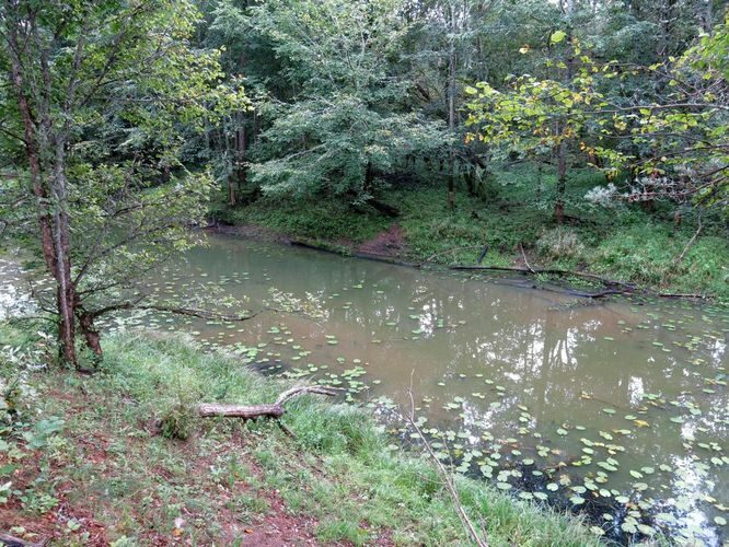 Maakond: Valgamaa Veekogu nimi: Koiva vanajõgi Pildistamise aeg: 15. august 2014 Pildistaja: H. Timm Pildistamise koht: teadmata Asimuut: