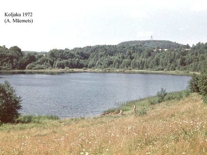 Maakond: Valgamaa Veekogu nimi: Koljaku järv Pildistamise aeg: 1972 Pildistaja: A. Mäemets Pildistamise koht: teadmata Asimuut: