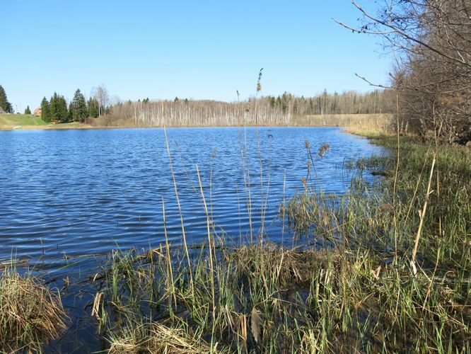 Maakond: Valgamaa Veekogu nimi: Koljaku järv Pildistamise aeg: 6. mai 2013 Pildistaja: H. Timm Pildistamise koht: teadmata Asimuut: