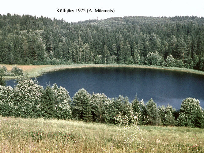 Maakond: Valgamaa Veekogu nimi: Kõllijärv Pildistamise aeg: 1972 Pildistaja: A. Mäemets Pildistamise koht: W kaldalt Asimuut: E