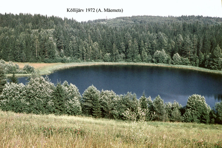 Maakond: Valgamaa Veekogu nimi: Kõllijärv Pildistamise aeg: 1972 Pildistaja: A. Mäemets Pildistamise koht: W kaldalt Asimuut: E