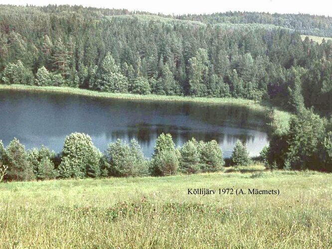 Maakond: Valgamaa Veekogu nimi: Kõllijärv Pildistamise aeg: 1972 Pildistaja: A. Mäemets Pildistamise koht: W kaldalt Asimuut: ESE