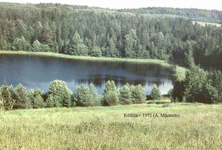 Maakond: Valgamaa Veekogu nimi: Kõllijärv Pildistamise aeg: 1972 Pildistaja: A. Mäemets Pildistamise koht: W kaldalt Asimuut: ESE