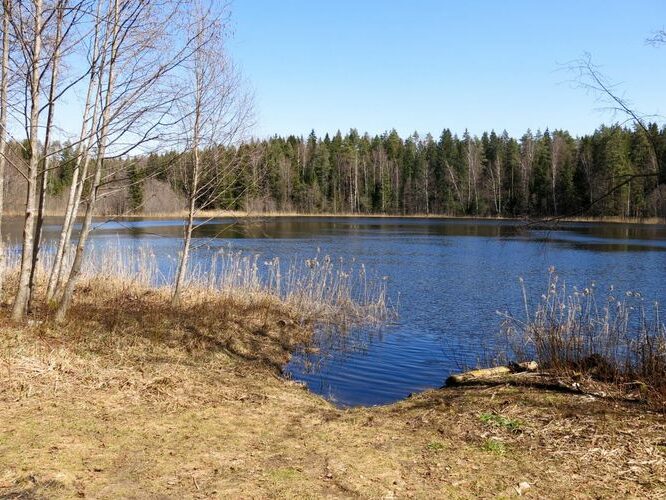 Maakond: Valgamaa Veekogu nimi: Kõlli järv Pildistamise aeg: 2. mai 2013 Pildistaja: H. Timm Pildistamise koht: teadmata Asimuut: