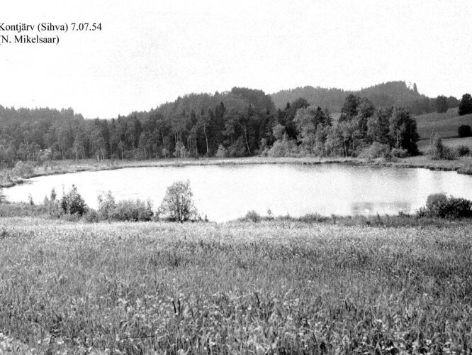 Maakond: Valgamaa Veekogu nimi: Kondijärv Pildistamise aeg: 7. juuli 1954 Pildistaja: N. Mikelsaar Pildistamise koht: Sihva Asimuut: