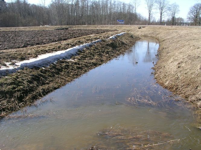 Maakond: Tartumaa Veekogu nimi: Konguta peakraav Pildistamise aeg: mai 2009 Pildistaja: H. Timm Pildistamise koht: teadmata Asimuut: