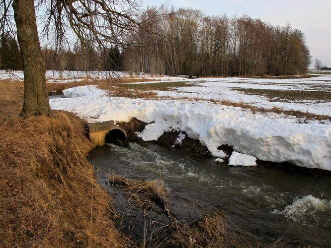 Maakond: Tartumaa Veekogu nimi: Konguta peakraav Pildistamise aeg: 30. märts 2010 Pildistaja: H. Timm Pildistamise koht: Rannu Asimuut: