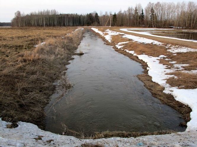 Maakond: Tartumaa Veekogu nimi: Konguta peakraav Pildistamise aeg: 30. märts 2010 Pildistaja: H. Timm Pildistamise koht: Rannu - Sangla tee Asimuut: