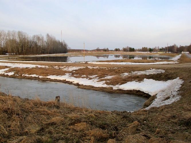 Maakond: Tartumaa Veekogu nimi: Konguta peakraav Pildistamise aeg: 30. märts 2010 Pildistaja: H. Timm Pildistamise koht: Rannu - Sangla tee Asimuut: