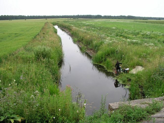 Maakond: Tartumaa Veekogu nimi: Konguta pkr. Pildistamise aeg: 14. juuli 2008 Pildistaja: H. Timm Pildistamise koht: Rannu Asimuut: