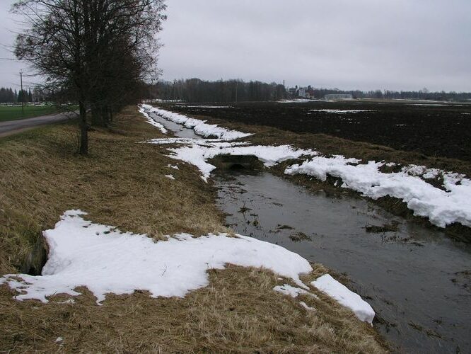 Maakond: Tartumaa Veekogu nimi: Konguta pkr. Pildistamise aeg: 30. november 2008 Pildistaja: H. Timm Pildistamise koht: Rannu Asimuut: