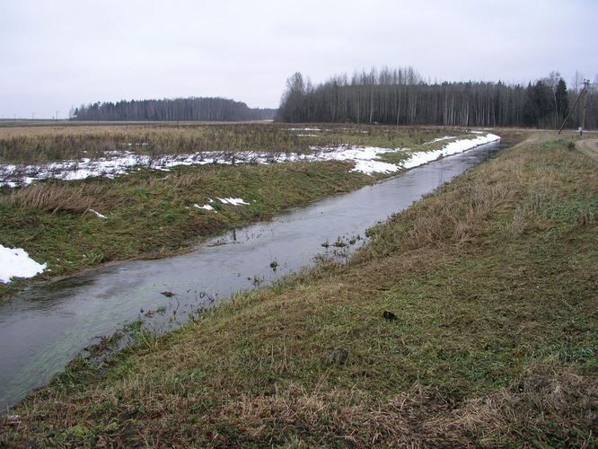 Maakond: Tartumaa Veekogu nimi: Konguta pkr. Pildistamise aeg: 30. november 2008 Pildistaja: H. Timm Pildistamise koht: Rannu Asimuut: