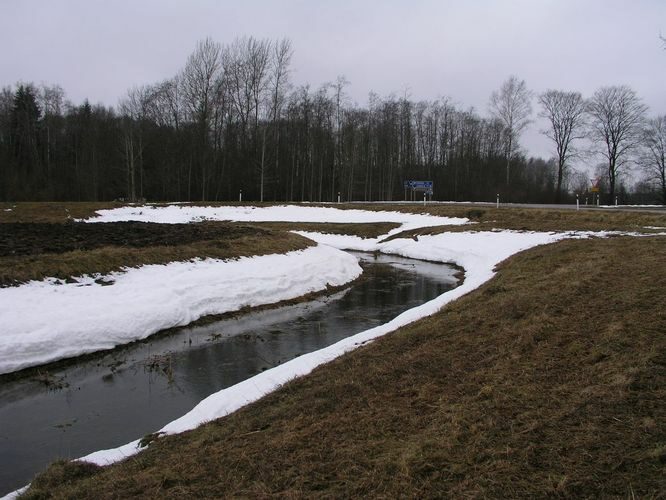 Maakond: Tartumaa Veekogu nimi: Konguta pkr. Pildistamise aeg: 30. november 2008 Pildistaja: H. Timm Pildistamise koht: Rannu Asimuut: