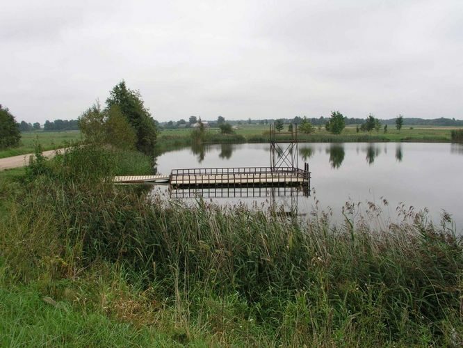 Maakond: Tartumaa Veekogu nimi: Koopsi paisjärv Pildistamise aeg: 2. september 2004 Pildistaja: H. Timm Pildistamise koht: teadmata Asimuut: