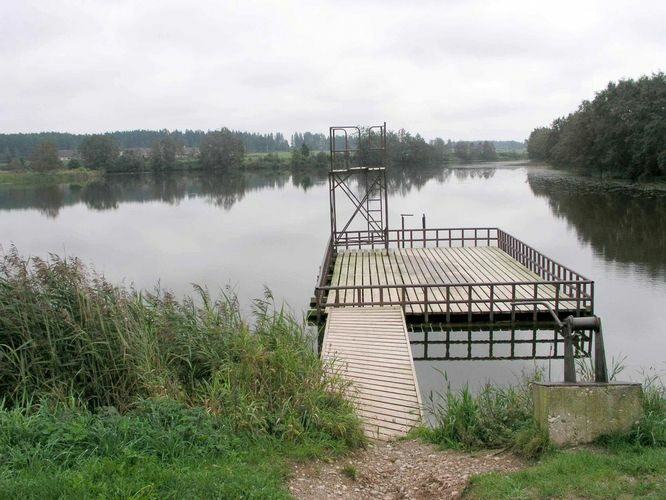 Maakond: Tartumaa Veekogu nimi: Koopsi paisjärv Pildistamise aeg: 2. september 2004 Pildistaja: H. Timm Pildistamise koht: teadmata Asimuut: