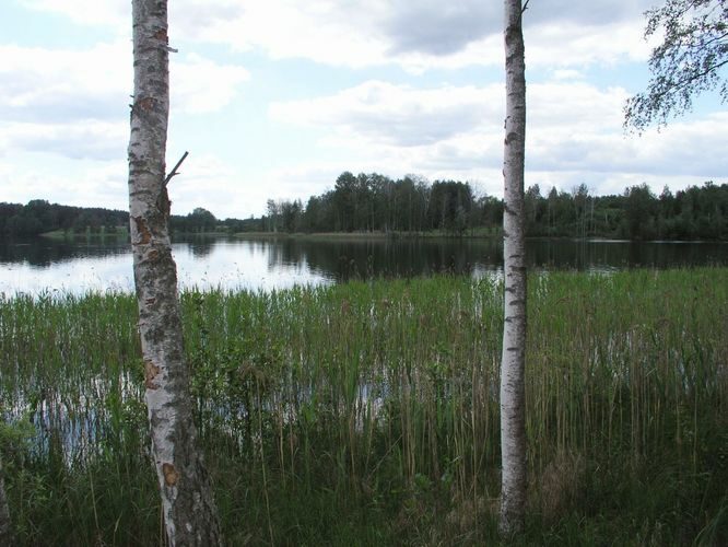 Maakond: Valgamaa Veekogu nimi: Koorküla Valgjärv Pildistamise aeg: 24. juuni 2006 Pildistaja: H. Timm Pildistamise koht: teadmata Asimuut: