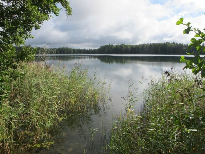 Maakond: Valgamaa Veekogu nimi: Koorküla Valgjärv Pildistamise aeg: 4. september 2012 Pildistaja: H. Timm Pildistamise koht: teadmata Asimuut: