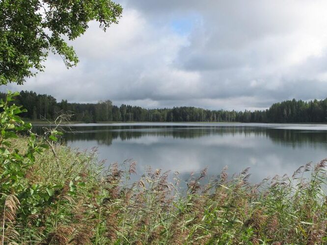 Maakond: Valgamaa Veekogu nimi: Koorküla Valgjärv Pildistamise aeg: 4. september 2012 Pildistaja: H. Timm Pildistamise koht: teadmata Asimuut: