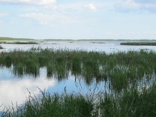 Maakond: Tartumaa Veekogu nimi: Koosa järv Pildistamise aeg: 28. mai 2012 Pildistaja: H. Timm Pildistamise koht: teadmata Asimuut: