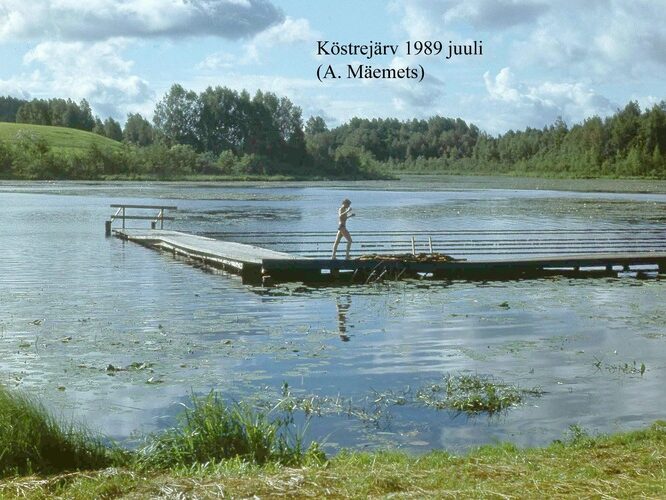 Maakond: Valgamaa Veekogu nimi: Köstrijärv Pildistamise aeg: juuli 1989 Pildistaja: A. Mäemets Pildistamise koht: NW kaldalt Asimuut: SE