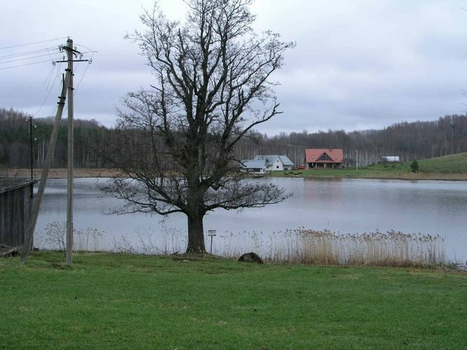 Maakond: Valgamaa Veekogu nimi: Köstrijärv Pildistamise aeg: 4. mai 2005 Pildistaja: H. Timm Pildistamise koht: teadmata Asimuut: