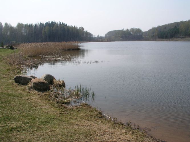 Maakond: Valgamaa Veekogu nimi: Köstrejärv Pildistamise aeg: 3. mai 2006 Pildistaja: H. Timm Pildistamise koht: teadmata Asimuut: